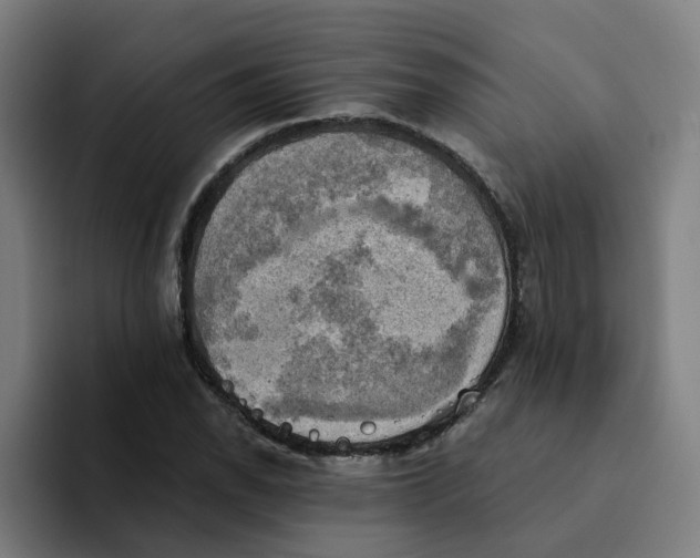 X0000094211118200711161823