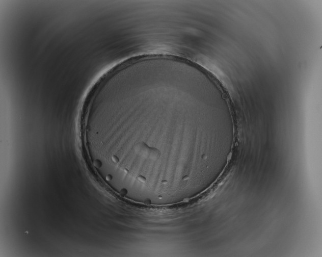 X0000094211120200711161823