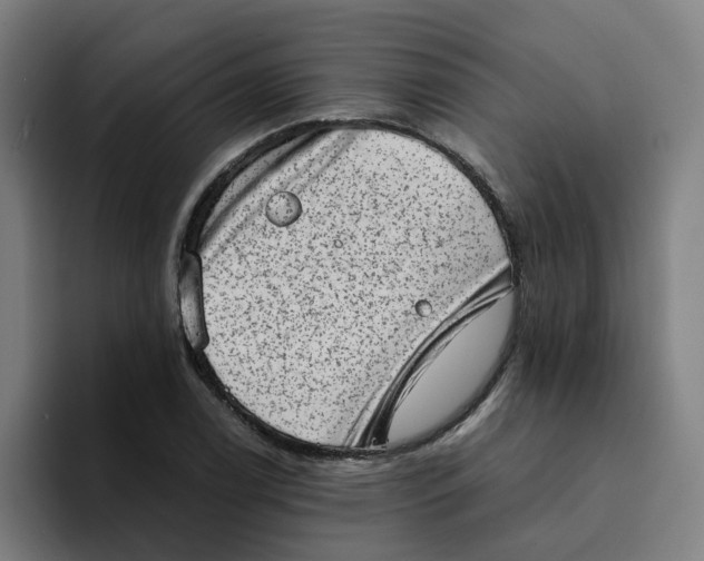 X0000094211122200711161823