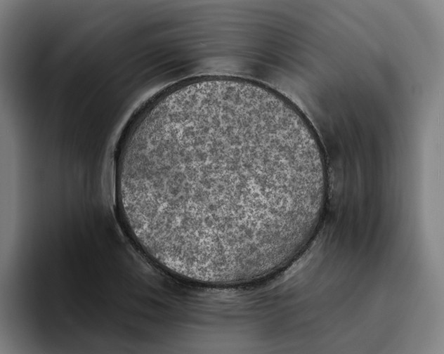 X0000094211123200711161823