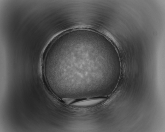 X0000094211124200711161823