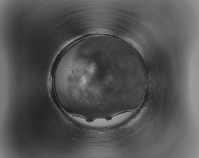 X0000094211125200711161823