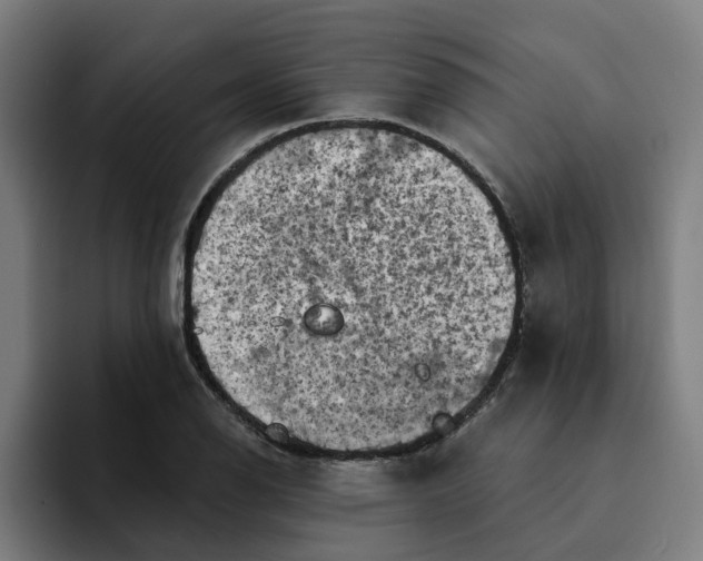 X0000094211126200711161823