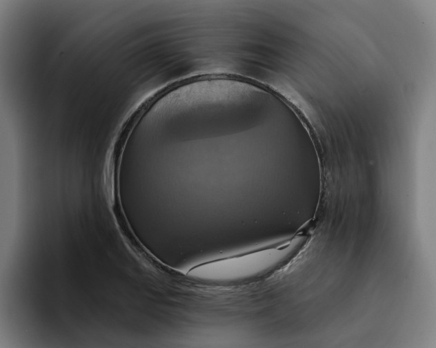 X0000094211127200711161823