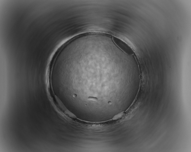 X0000094211128200711161823