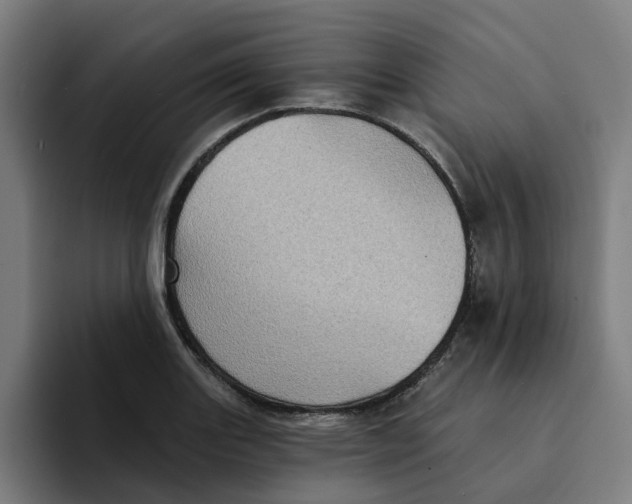 X0000094211131200711161823