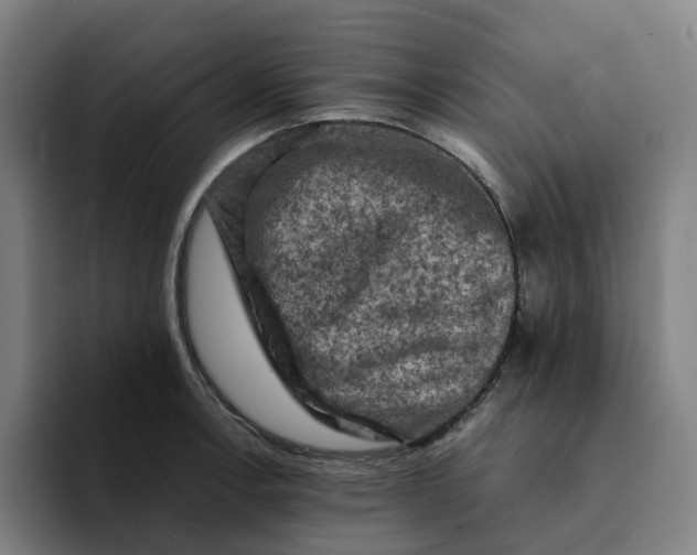 X0000094211138200711161823