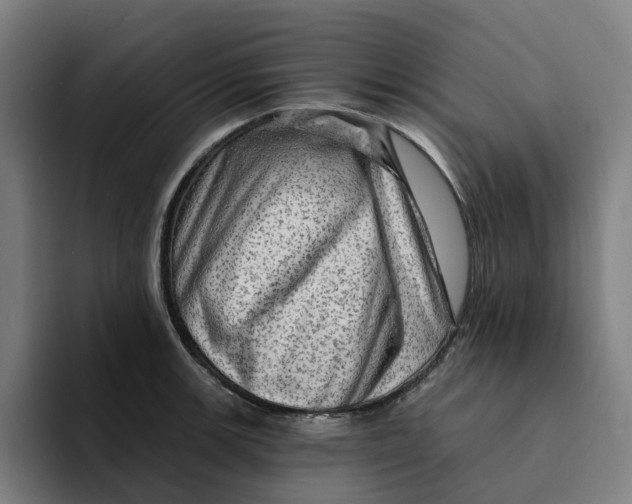 X0000094211139200711161823