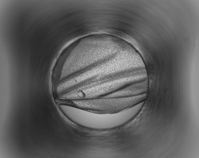 X0000094211143200711161823