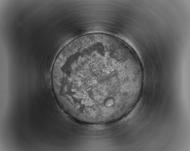 X0000094211145200711161823