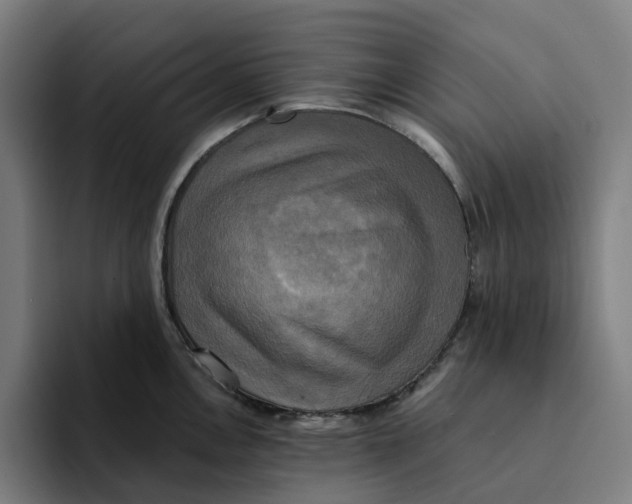 X0000094211146200711161823