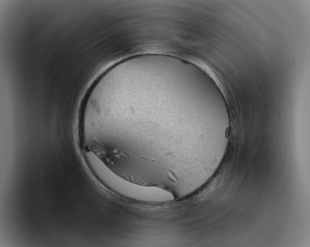 X0000094211147200711161823