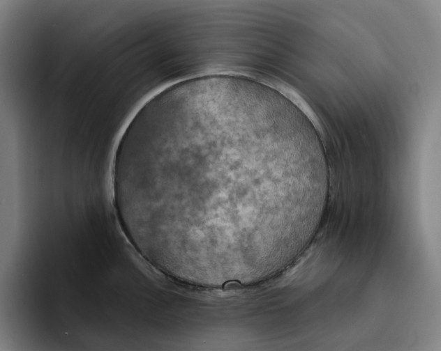 X0000094211148200711161823