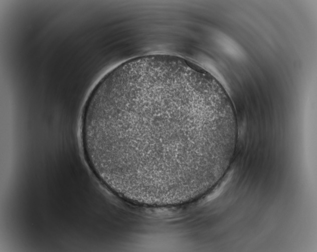 X0000094211149200711161823