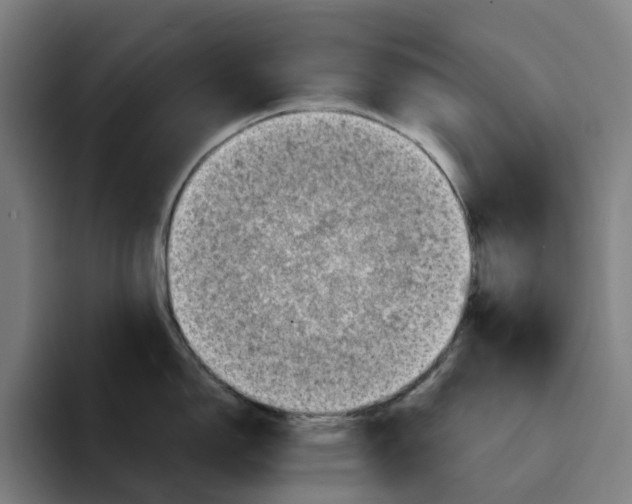 X0000094211150200711161823