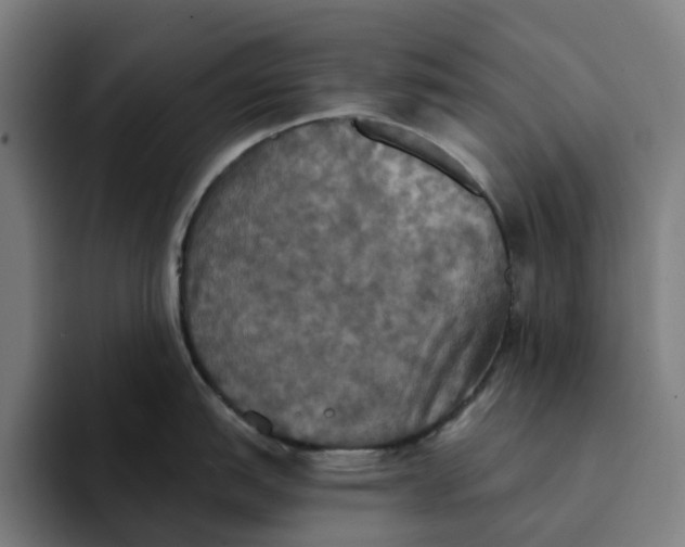 X0000094211151200711161823