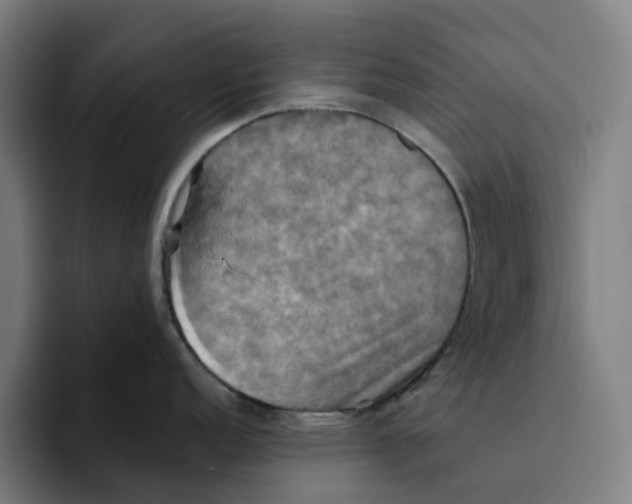 X0000094211152200711161823