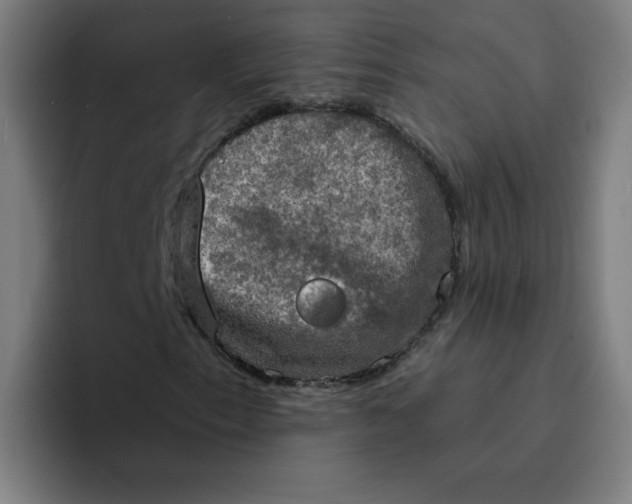 X0000094211153200711161823