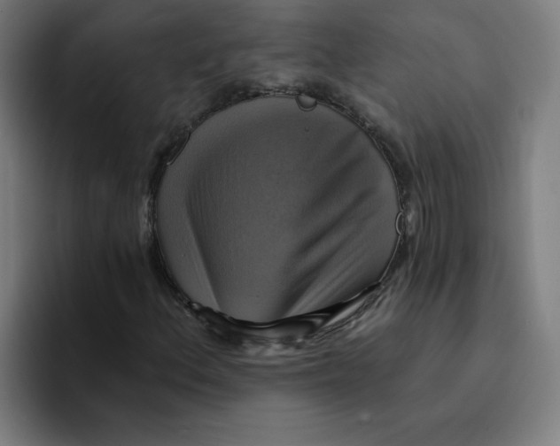 X0000094211156200711161823
