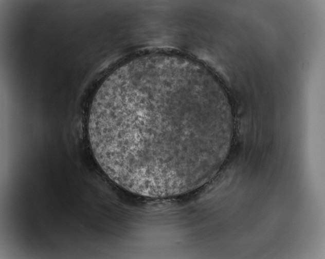 X0000094211159200711161823