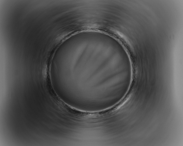 X0000094211161200711161823