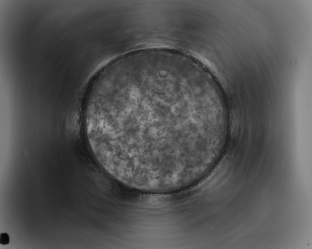 X0000094211163200711161823