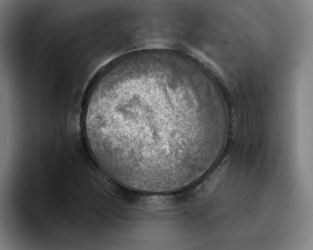 X0000094211166200711161823