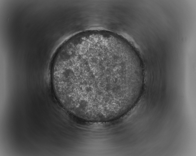 X0000094211167200711161823