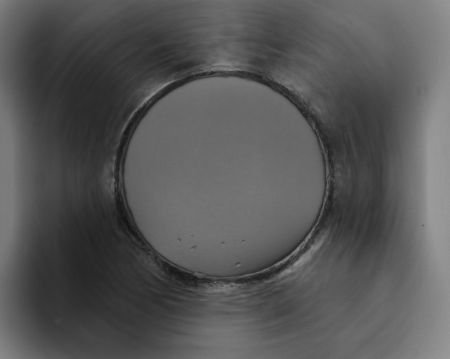 X0000094211170200711161823