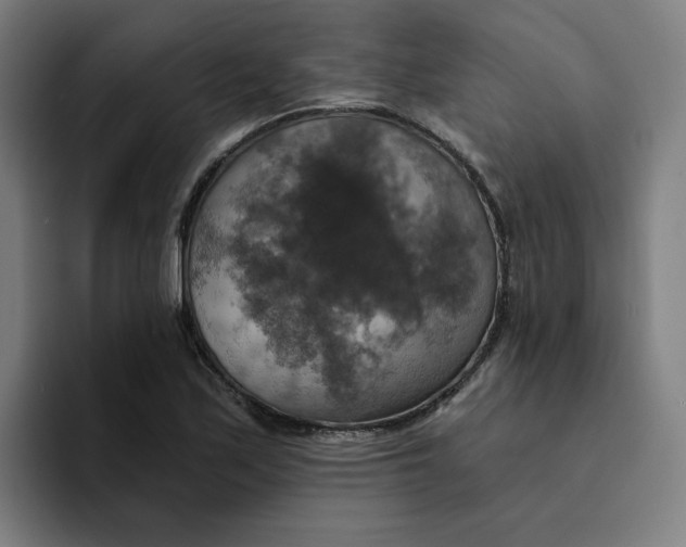 X0000094211171200711161823
