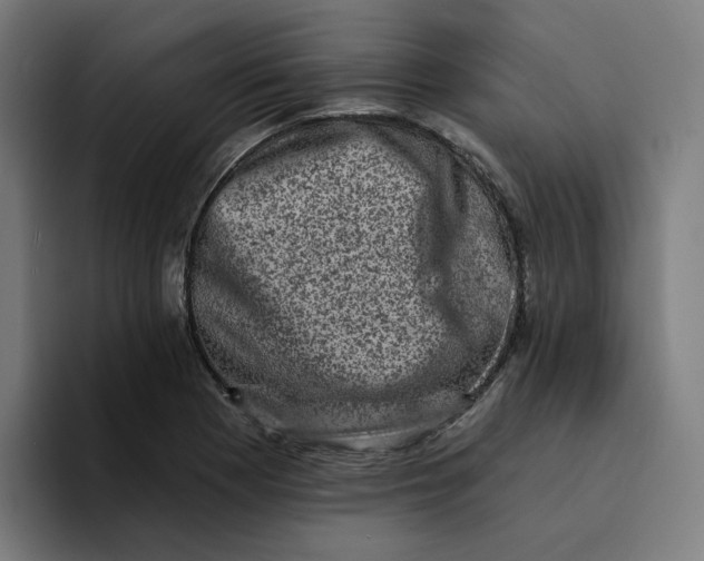 X0000094211177200711161823