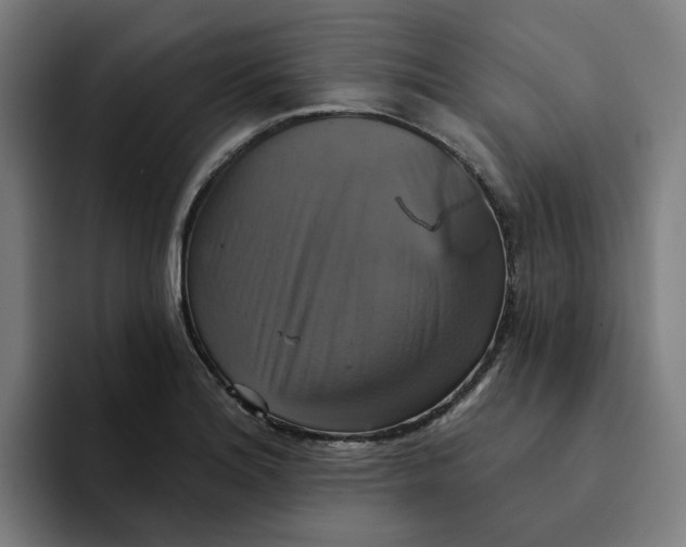 X0000094211180200711161823