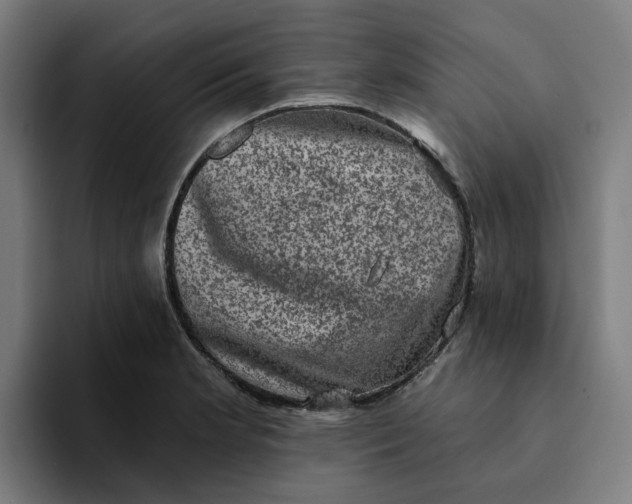X0000094211181200711161823