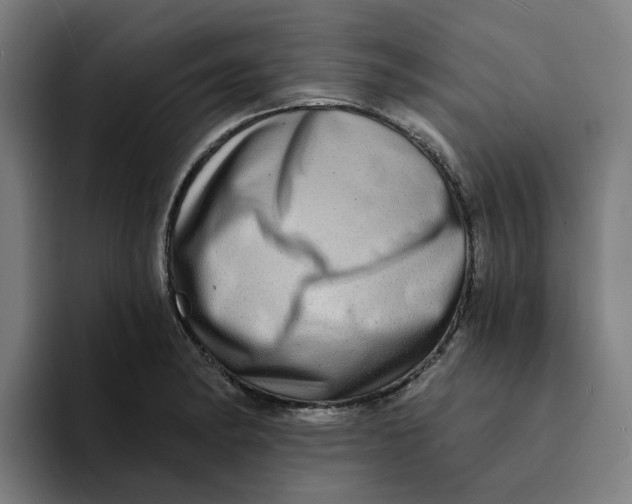 X0000094211182200711161822