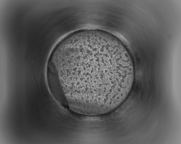 X0000094211183200711161822
