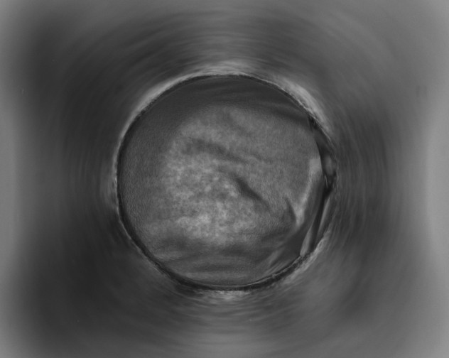 X0000094211184200711161822