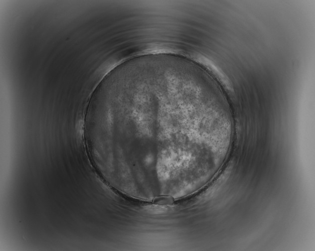 X0000094211185200711161822