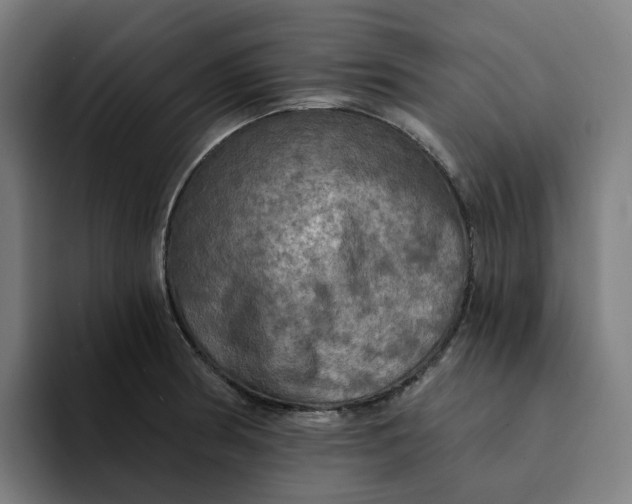 X0000094211186200711161822