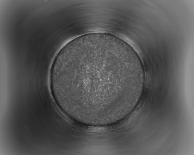 X0000094211187200711161822