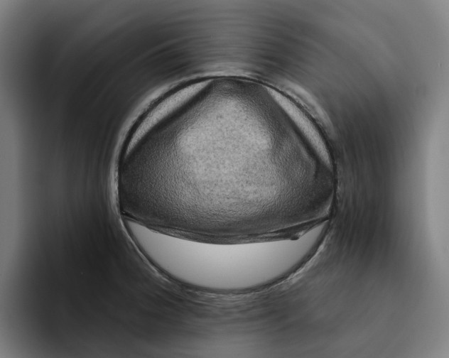 X0000094211188200711161822