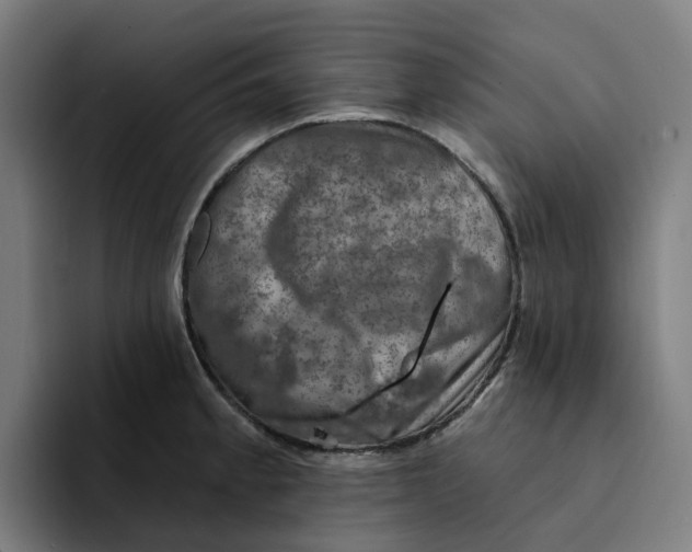 X0000094211189200711161822