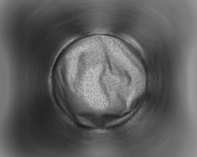 X0000094211190200711161822