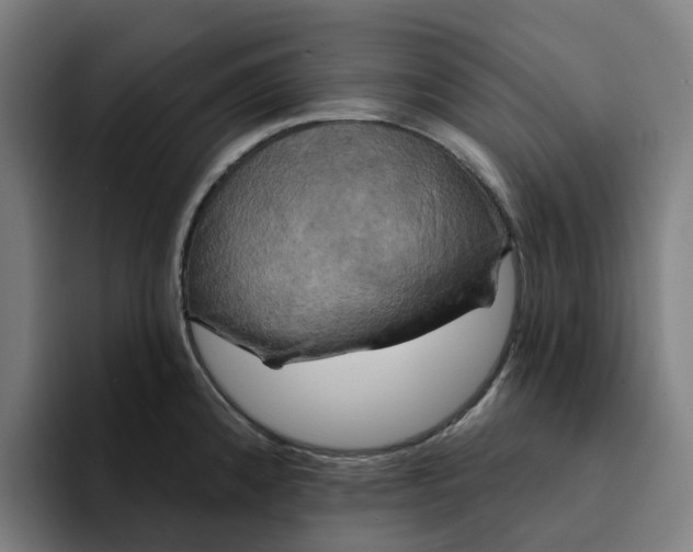 X0000094211192200711161822