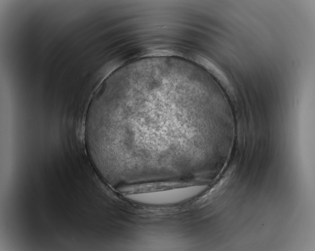 X0000094211193200711161822