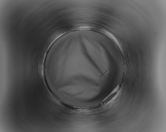 X0000094211194200711161822