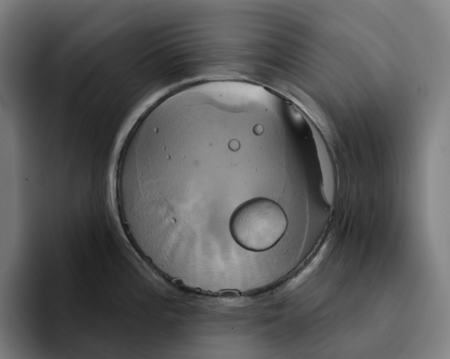 X0000094211196200711161822