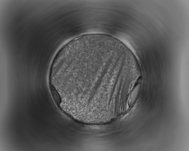X0000094211197200711161822