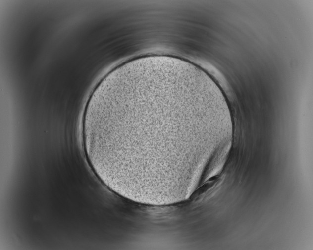 X0000094211199200711161822