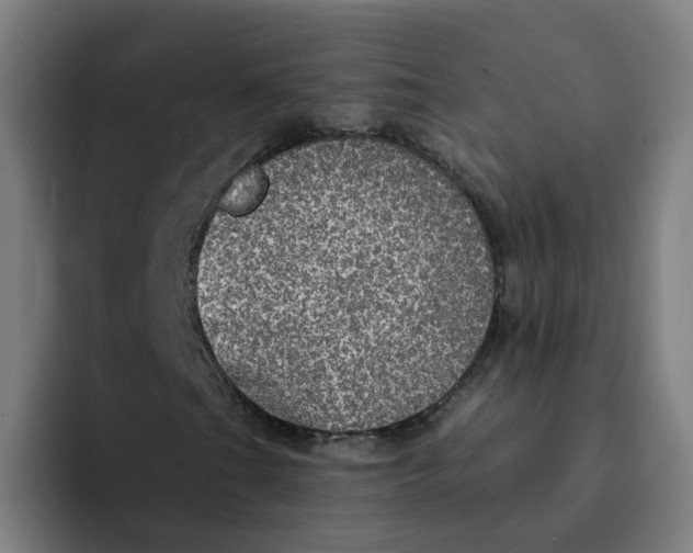 X0000094211201200711161822