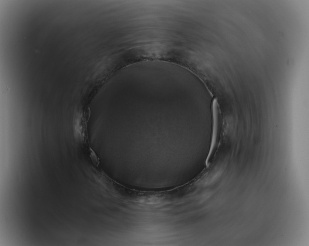 X0000094211202200711161822